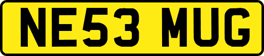 NE53MUG