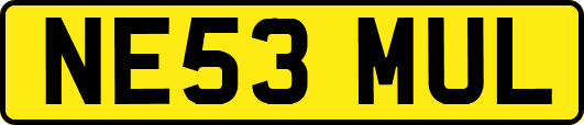 NE53MUL