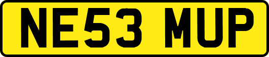 NE53MUP