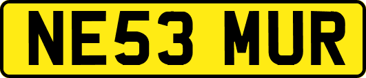NE53MUR