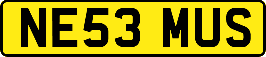 NE53MUS