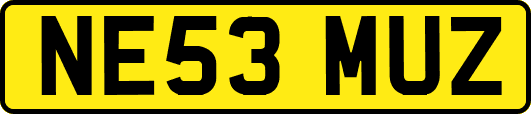 NE53MUZ
