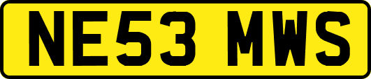 NE53MWS