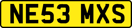 NE53MXS