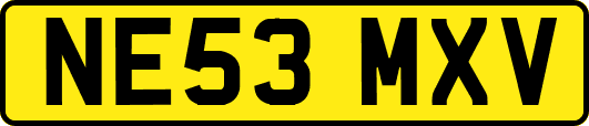 NE53MXV