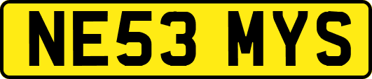 NE53MYS