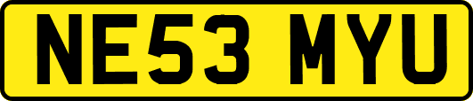 NE53MYU