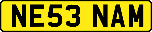 NE53NAM