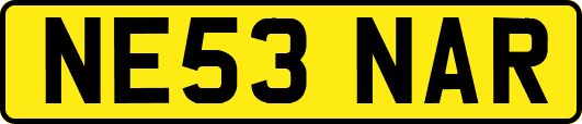 NE53NAR