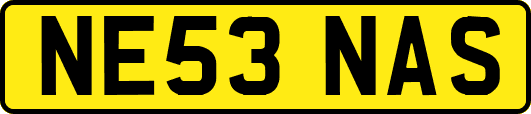 NE53NAS