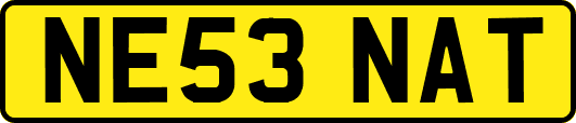 NE53NAT