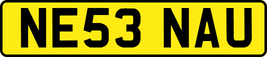 NE53NAU