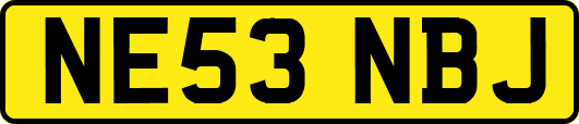 NE53NBJ