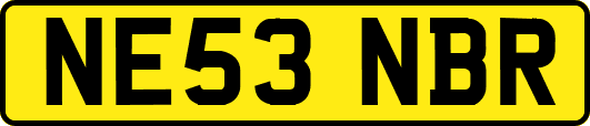 NE53NBR