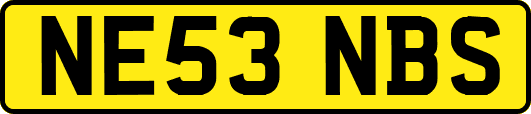 NE53NBS