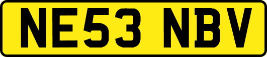 NE53NBV