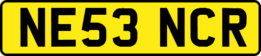 NE53NCR