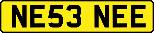 NE53NEE