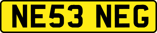 NE53NEG