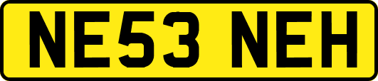 NE53NEH