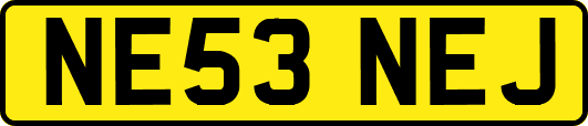 NE53NEJ