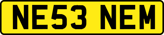 NE53NEM
