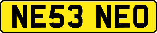 NE53NEO