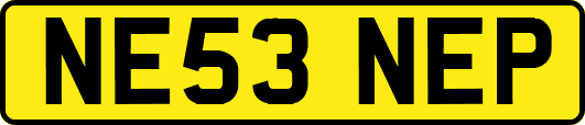 NE53NEP