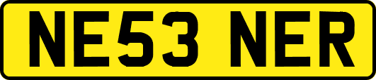 NE53NER