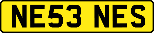 NE53NES