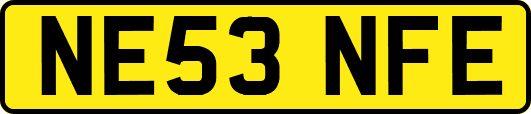 NE53NFE
