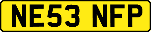 NE53NFP