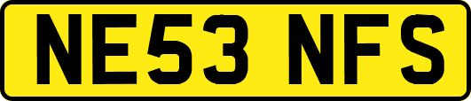 NE53NFS