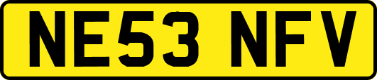 NE53NFV