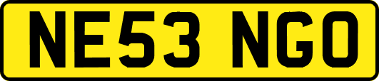 NE53NGO
