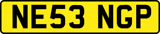 NE53NGP