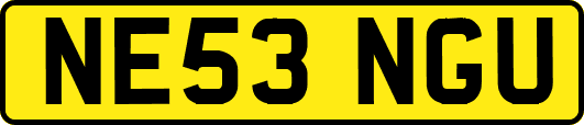 NE53NGU