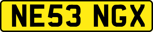 NE53NGX