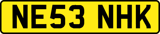 NE53NHK