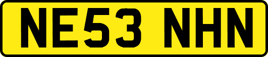 NE53NHN