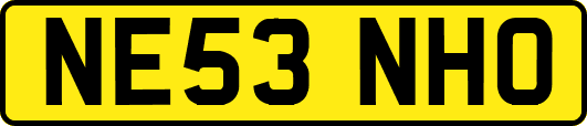 NE53NHO