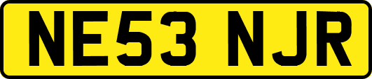 NE53NJR