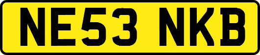 NE53NKB