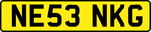 NE53NKG
