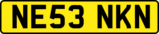 NE53NKN