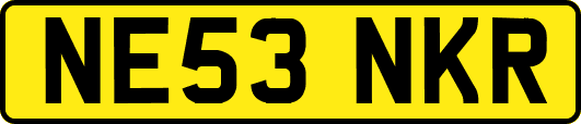 NE53NKR