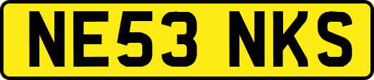 NE53NKS