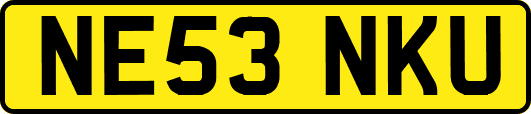 NE53NKU
