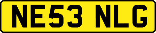NE53NLG
