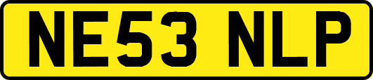 NE53NLP